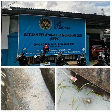 Timbulkan Bau Tak Sedap hingga Jentik Nyamuk, Warga Keluhkan Dugaan Limbah MBG Genangi Drainase
